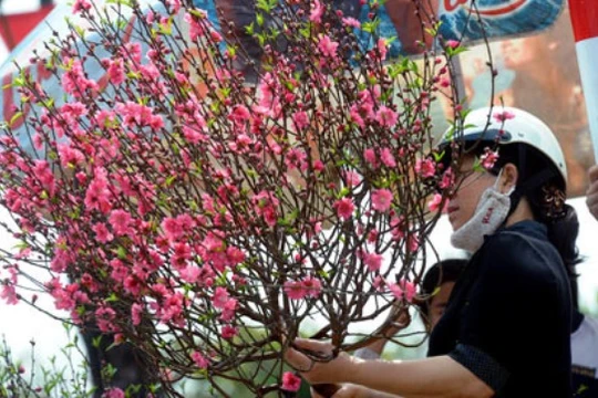 Ảnh minh họa, nguồn internet