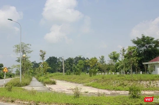 Hội đồng thẩm định điều chỉnh Quy hoạch sử dụng đất đến năm 2020 và Kế hoạch sử dụng đất 05 năm kỳ cuối (2016-2020) cấp huyện thành phố Hà Nội gồm 20 thành viên.