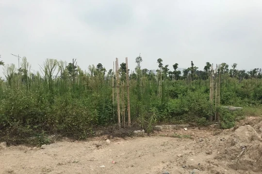 Tình trạng phân lô, bán nền trái quy định ảnh hưởng đến thị trường bất động sản/ Ảnh minh họa.