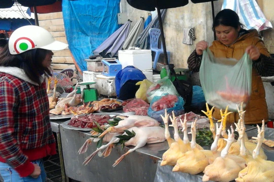 Ảnh minh họa, nguồn internet