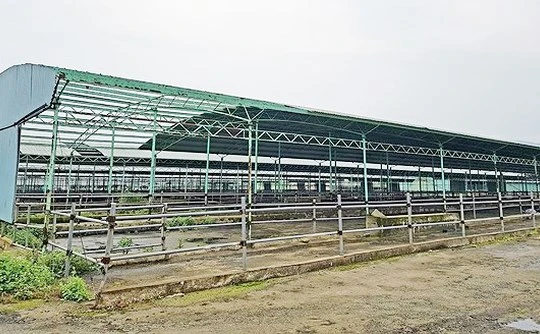Một góc trại chăn nuôi bò của dự án chăn nuôi bò giống và bò thịt tại Hà Tĩnh do Công ty CP chăn nuôi Bình Hà thực hiện ở địa bàn huyện Kỳ Anh, tỉnh Hà Tĩnh bị bỏ hoang/ Ảnh: sggp.org.vn
