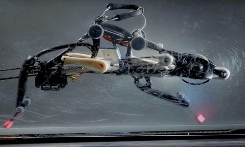 Các nhà khoa học Mỹ có thể cho ra đời robot chạnh nhanh hơn Usain Bolt.