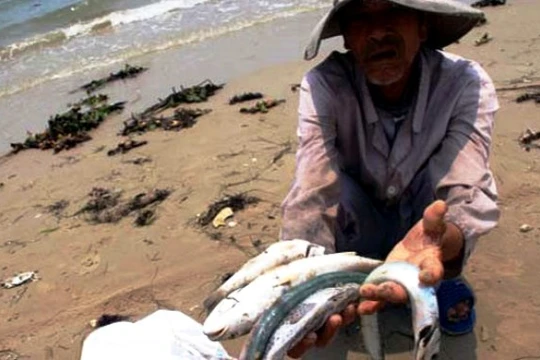 Sự kiện ô nhiễm môi trường 4 tỉnh miền Trung gây thiệt hại nặng nề cho bà con ngư dân.