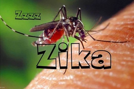 Tại Việt Nam đã phát hiện 5 trường hợp nhiễm virus Zika