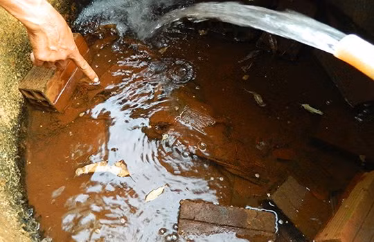 Ảnh minh họa, nguồn internet