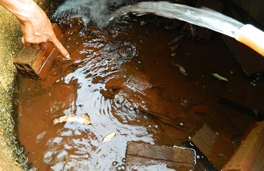 Ảnh minh họa, nguồn internet