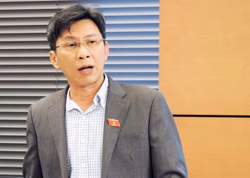 Đại biểu Nguyễn Việt Dũng phát biểu tại tổ sáng 8/11. Ảnh: HT