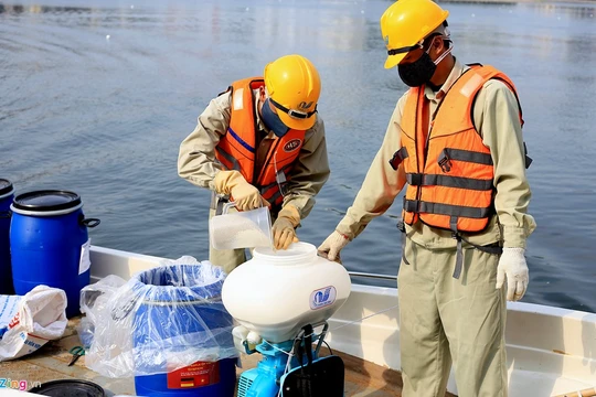 Chế phẩm Redocy-3C được Hà Nội đặt hàng thiết kế độc quyền