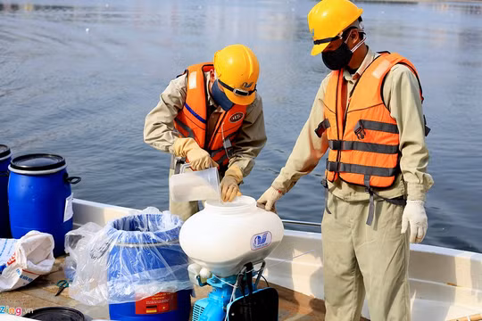 Chế phẩm Redocy-3C được Hà Nội đặt hàng thiết kế độc quyền