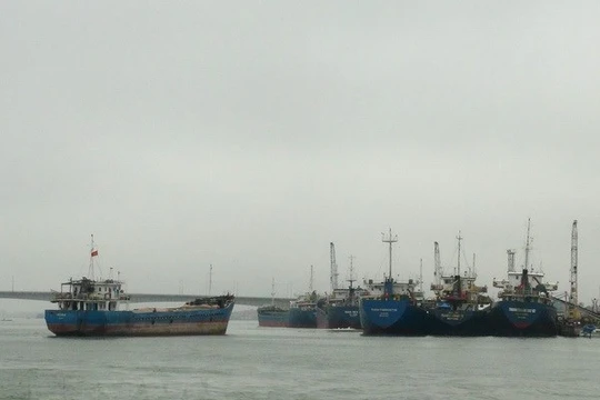 Ảnh minh họa/ Nguồn TTXVN.