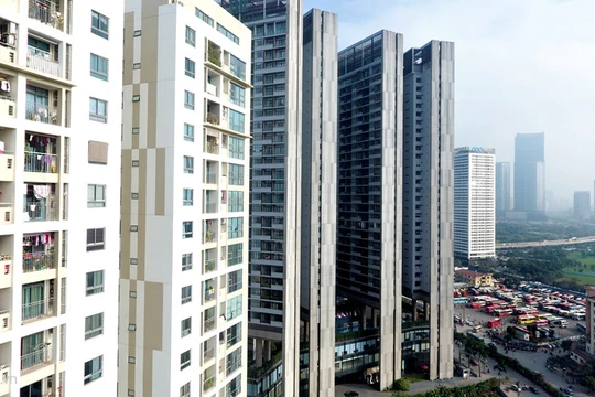 Ảnh minh họa/Nguồn: Zing.vn