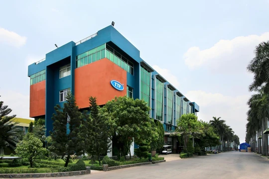 TTF dự kiến chào bán riêng lẻ 41 triệu cổ phiếu cho Marina 2