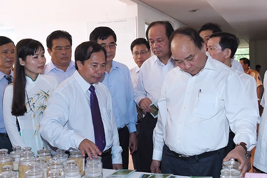Thủ tướng Chính phủ Nguyễn Xuân Phúc tới thăm và làm việc với lãnh đạo, cán bộ của Viện lúa Đồng bằng sông Cửu Long.
