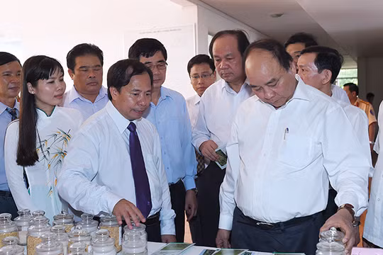 Thủ tướng Chính phủ Nguyễn Xuân Phúc tới thăm và làm việc với lãnh đạo, cán bộ của Viện lúa Đồng bằng sông Cửu Long.