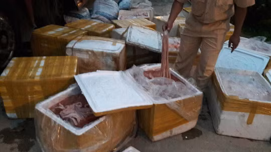 Các thùng lòng, mỡ động vật đã bốc mùi hôi thối bị lực lượng CSGT phát hiện bắt giữ. Ảnh: QV