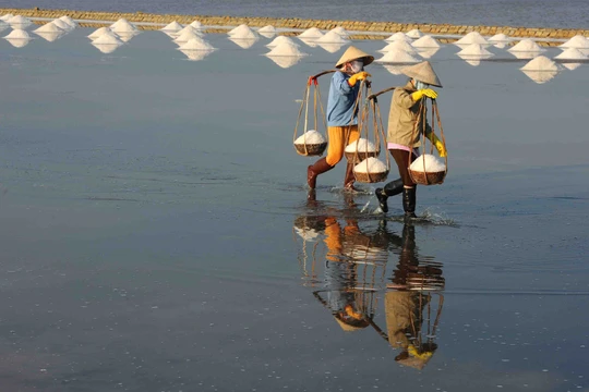 Ảnh minh họa. (Nguồn: Internet)