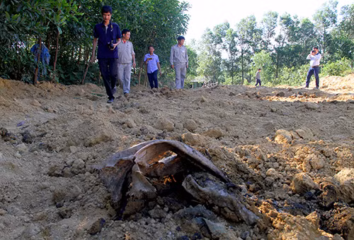 Chính phủ yêu cầu làm rõ vụ chôn lấp rác thải Formosa ở trang trại của Giám đốc Môi trường.