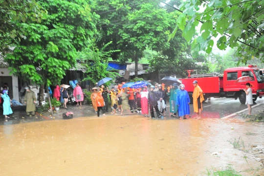 Ảnh minh họa. (Nguồn: Internet)