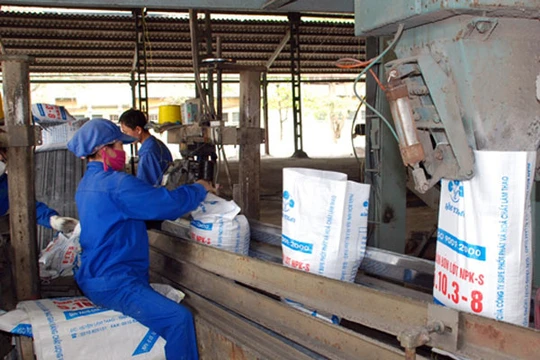 Ảnh minh họa. (Nguồn: Internet)