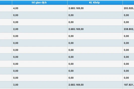 Giao dịch thỏa thuận của HNG. Nguồn: HSX