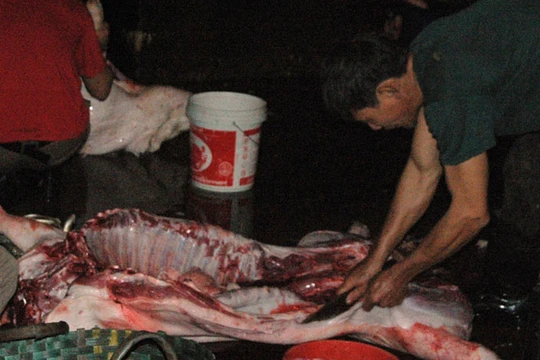 Ảnh minh họa. (Nguồn: Internet)