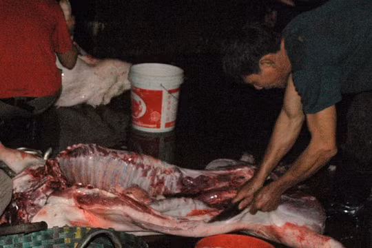 Ảnh minh họa. (Nguồn: Internet)