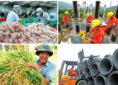 Tiến hành Tổng điều tra kinh tế từ 1/3/2017.