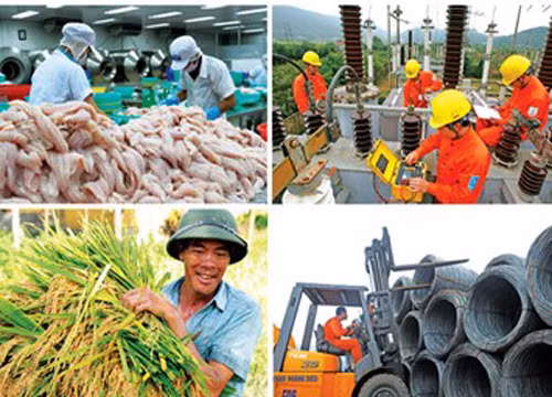 Tiến hành Tổng điều tra kinh tế từ 1/3/2017.