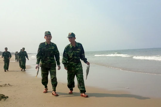 Chiều 25-4, đơn vị bộ đội địa phương được huy động đi thu gom cá mới chết dạt vào bãi biển thôn Đá Nhảy, xã Thanh Trạch - Ảnh: Quốc Nam