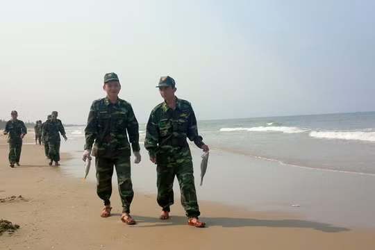 Chiều 25-4, đơn vị bộ đội địa phương được huy động đi thu gom cá mới chết dạt vào bãi biển thôn Đá Nhảy, xã Thanh Trạch - Ảnh: Quốc Nam