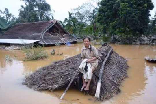 Ảnh minh họa. (Nguồn: Internet)