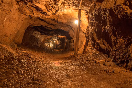 Ảnh minh họa. (Nguồn: Internet)