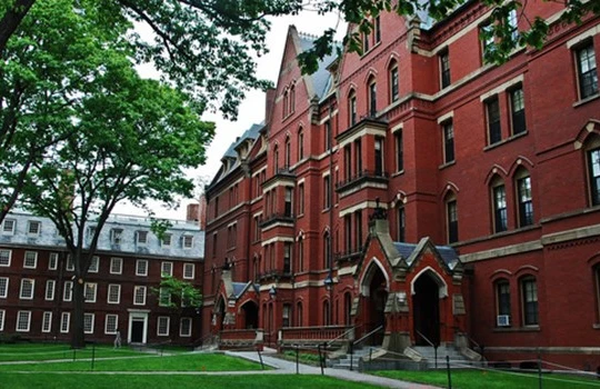 “Harvard là nơi người ta đeo lên mình những khuôn mặt giả tạo chính đáng”