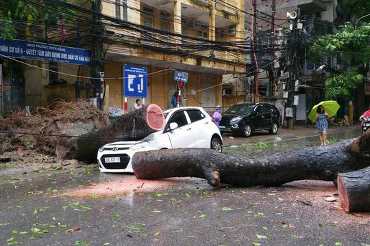 Ảnh minh họa. (Nguồn: Internet)