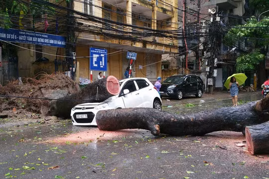 Ảnh minh họa. (Nguồn: Internet)