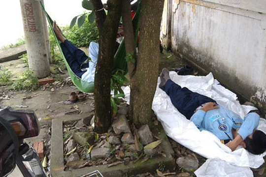 Ảnh minh họa. (Nguồn: Internet)