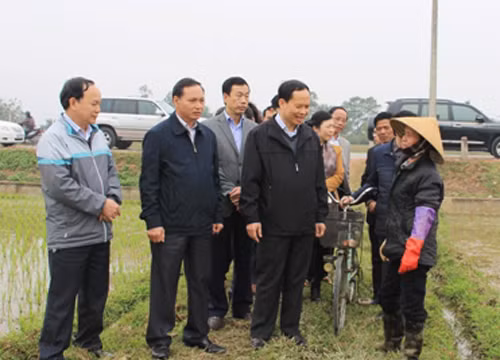 Bí thư Tỉnh ủy Thanh Hóa Trịnh Văn Chiến (thứ 4 từ trái qua) đang đối thoại với người dân trong một lần kiểm tra tình hình gieo cấy tại xã Thái Hòa, huyện Triệu Sơn, vào tháng 2 vừa qua - Ảnh: Cổng TTĐT tỉnh Thanh Hóa