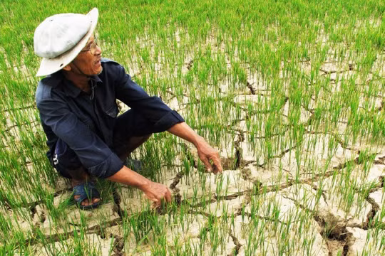 Ảnh minh họa. (Nguồn: Internet)