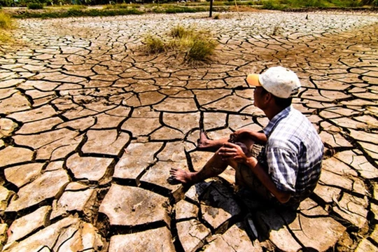 Ảnh minh họa. (Nguồn: Internet)