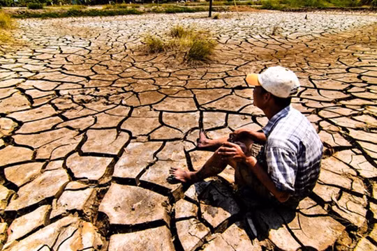 Ảnh minh họa. (Nguồn: Internet)