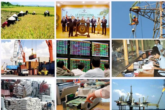 Ảnh minh họa. (Nguồn: Internet)