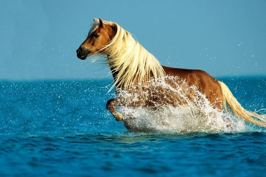 Cổ phiếu ngân hàng thăng hoa, đây có thể là lý do!