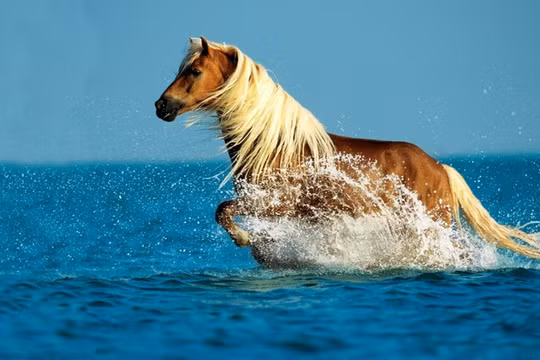 Cổ phiếu ngân hàng thăng hoa, đây có thể là lý do!