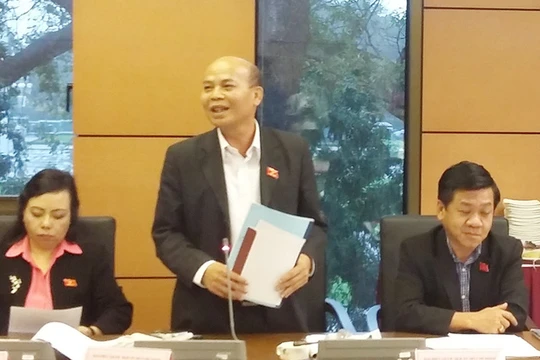 Đại biểu Đỗ Văn Đương (TPHCM) băn khoăn khi chủ trương của Bộ Chính trị về tinh giảm biên chế cứ "hết xây dựng lại báo cáo phê duyệt".