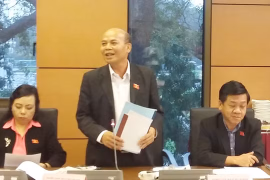 Đại biểu Đỗ Văn Đương (TPHCM) băn khoăn khi chủ trương của Bộ Chính trị về tinh giảm biên chế cứ "hết xây dựng lại báo cáo phê duyệt".