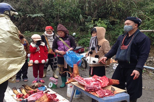 Mưa tuyết, dân xẻ thịt trâu bò chết rét, bán dọc bên đường