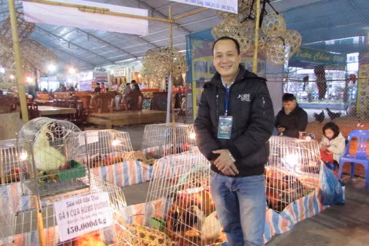 Anh Hồ Thanh Dũng bên dàn gà chín cựa trong truyền thiết.