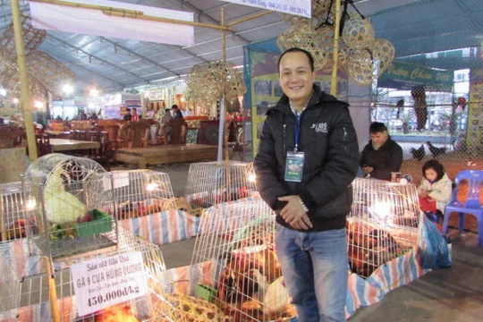 Anh Hồ Thanh Dũng bên dàn gà chín cựa trong truyền thiết.