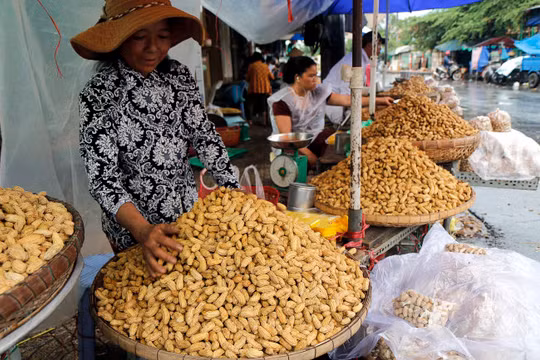 Với gia bán cao gấp nhiều lần đậu phộng nhập khẩu, đậu phộng VN rất khó cạnh tranh. Trong ảnh: đậu phộng được bán tại TP.HCM - Ảnh: NGỌC DƯƠNG