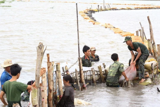 Ảnh minh họa. (Nguồn: Internet)